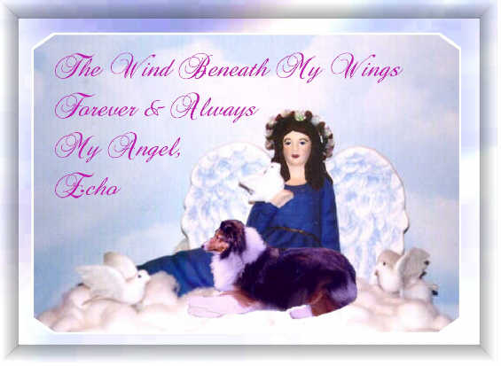 Echo waiting with the Angels